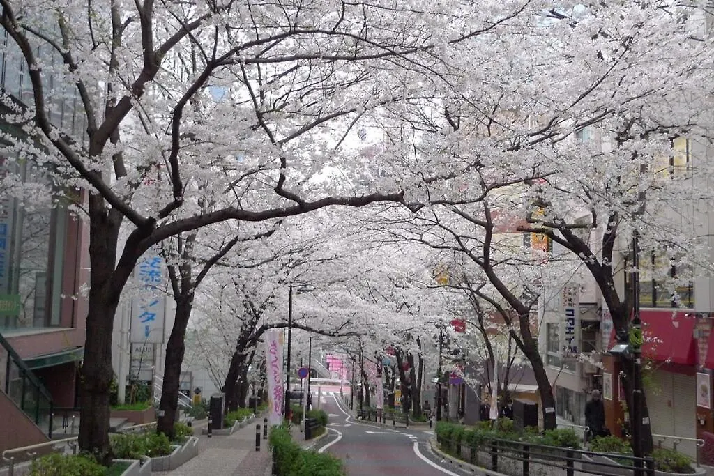 Shibuya 10Min Walk Bright Modern Apartment 40Sqm Tokyo